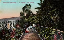 CPA Espagne LAS PALMAS DE GRAN CANARIA - Jardin De Corvo-Moya (304793) - La Palma