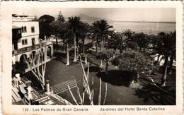 CPA Espagne LAS PALMAS DE GRAN CANARIA - Jardines Del Hotel S Catalina (304811) - La Palma