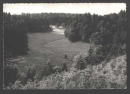 Bullingen-Bullange - Paysage - Photo Véritable - Bullange - Buellingen