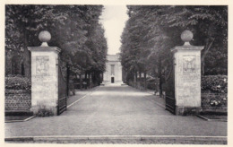 Waregem, American Cemetery (pk61657) - Waregem