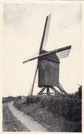 Waregem, Oude Molen, Windmill, Moulin (pk61658) - Waregem