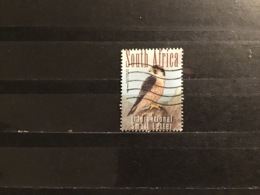 Zuid-Afrika / South Africa - Zeldzame Vogels 2014 - Used Stamps