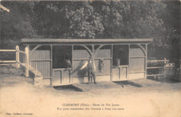 60-CLERMONT- HARAS DE FIRZ JAMES, BOX POUR TRAITEMENT DES CHEVAUX A L'EAU COURANTE - Clermont