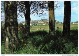 Carte Postale  47. Montflanquin  Trés Beau Plan - Monflanquin