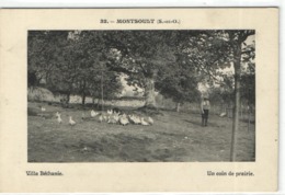 Montsoult - Montsoult