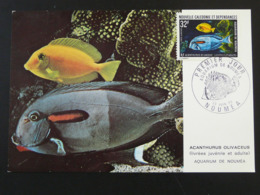 Carte Maximum Card Poisson Fish 1973 Nouvelle Calédonie (ref 94578) - Cartes-maximum