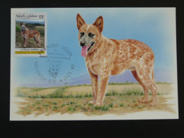 Carte Maximum Card Chien Bouvier Australien Dog Nouvelle Calédonie (ref 94600) - Maximum Cards