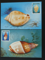 Carte Maximum Card (x2) Coquillage Shell Nouvelle Calédonie (ref 94601) - Cartes-maximum