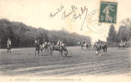 60-CHANTILLY- LES COURSES , LA PELOUSE AVEC CHEVAUX A L'EXERCIE - Chantilly