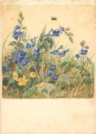 Fleurs - Illustrateurs - Illustrateur M. Schönermark - Grand Format - état - Flowers