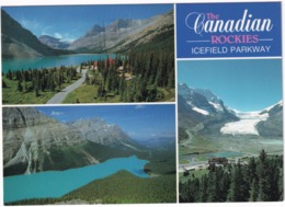 Icefield Parkway - Peyto Lake, Bow Lake, The Columbia Icefield - The Canadian Rockies - (Canada) - Calgary