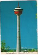 Calgary - The Calgary Tower - (Alberta, Canada) - Calgary