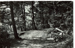 Le Chemin Des Dames   Entree Les Marecottes Et Les Granges11068 - Granges