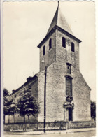 Wezembeek-Oppem St. Pietersbandenkerk - Wezembeek-Oppem