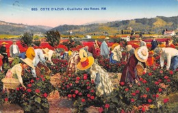 Thème  Métiers .    Agriculture .. Côte D'Azur    La Cueillette Des Roses      Lot De 6 Cartes (voir Scan) - Cultivation