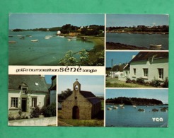 56 Morbihan Sene Langle Carte Multivues - Otros Municipios
