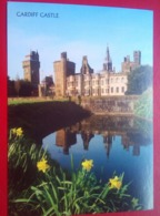 Cardiff Castle - Cardiganshire