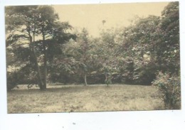 Keerbergen Un Coin Du Parc De L'Hôtel Des Lierres - Braine-le-Château