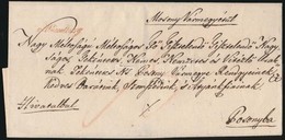 1821 Hivatalos Levél Piros 'v.Wieselburg' (160 P) - Sonstige & Ohne Zuordnung