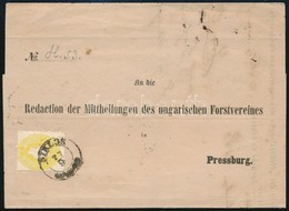 1863 2kr Nyomtatványon / On Printed Matter 'SIKLOS' - Pressburg - Autres & Non Classés