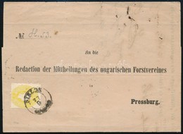 1863 2kr Nyomtatványon / On Printed Matter 'SIKLOS' - Pressburg - Other & Unclassified