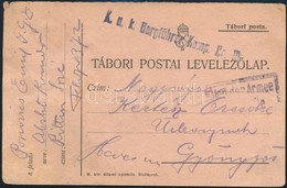~1916 Tábori Posta Levelezőlap / Field Postcard 'K.u.k. Bergführer Komp. Nr.10.' - Other & Unclassified