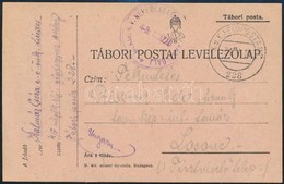 1916 Tábori Posta Levelezőlap / Field Postcard 'M.kir. 4/V NÉPFÖLKELŐ ZÁSZLÓALJ 4-IK SZÁZAD' + 'FP 228' - Other & Unclassified