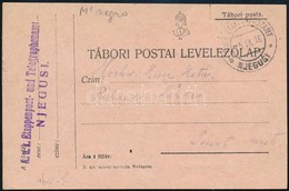 1916 Tábori Posta Levelezőlap / Field Postcard 'K.u.k. Etappenpost- Und Telegraphenamt' + 'EP NJEGUSI B' - Other & Unclassified