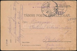 1916 Tábori Posta Levelezőlap / Field Postcard 'EP LESCH' - Otros & Sin Clasificación