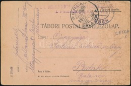 1916 Tábori Posta Levelezőlap / Field Postcard 'EP LESCH' - Sonstige & Ohne Zuordnung