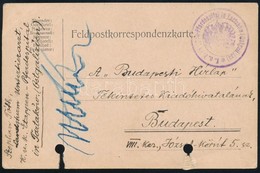 1916 Tábori Posta Levelezőlap / Field Postcard 'K.u.K. Etappen-Pferdespital In Tartaków (Ostgalizien)' - Autres & Non Classés