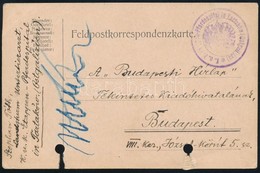 1916 Tábori Posta Levelezőlap / Field Postcard 'K.u.K. Etappen-Pferdespital In Tartaków (Ostgalizien)' - Altri & Non Classificati