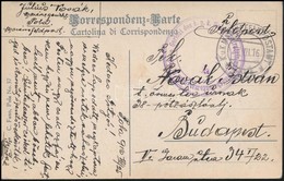 1916 Tábori Posta Képeslap / Field Postcard 'Gericht Des K.u.k. Hafenadmiralats Und Kriegshafenkommandos In Pola' + 'MFP - Sonstige & Ohne Zuordnung