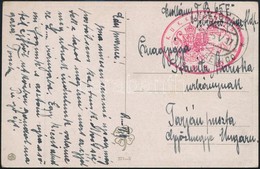 1917 Tábori Posta Képeslap / Field Postcard 'S.M.B. 65' + 'SEBENICO' - Other & Unclassified