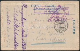 1917 Képeslap Japán Hadifogolytáborból, A Kaiserin Elisabeth Osztrák-magyar Cirkáló Egyik Matrózától Ausztriába / Postca - Other & Unclassified