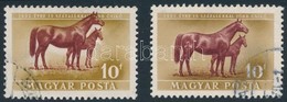 O 1951 Háziállatok 10f, Elcsúszott Lovak (barna Szín) + Támpéldány / Mi 1150 Shifted Horses - Autres & Non Classés