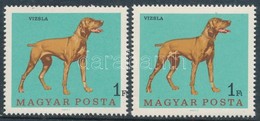 ** 1967 Magyarországi Kutyafajták 1Ft, A Fekete Szín Erős, Jobbra Csúszásával + Támpéldány / Mi 2339 With Shifted Black  - Other & Unclassified