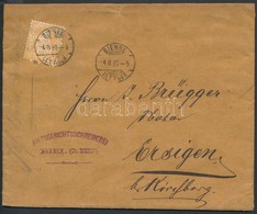 1880 Mi 24 Levél / On Cover 'BIENNE' - Ersingen - Autres & Non Classés