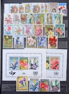 ** O Virág Motívum Kb 800 Db Bélyeg és 3 Blokk, Főleg Európai Gyűjtemény A4-es Berakóban / Flower Motif Ca. 800 Stamps A - Autres & Non Classés