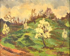 Agricola Lídia (1914-1994): Tavasz A Virághegyen. Olaj, Vászon, Jelzett, Keretben, 65×80 Cm - Autres & Non Classés