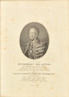 Esterházy Pál Antal Herceg (1786-1866) Király Személye Körüli Miniszter Rézmetszetű Portréja. 28x20 C, Üvegezett Keretbe - Estampes & Gravures