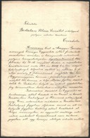 1913 A Magyar Gazdaasszonyok Országos Egyesülete Kézzel írt Segédtanítói Kinevező Oklevele, Rányomott Viaszpecsét Töredé - Non Classés
