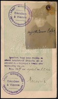 1919 Magyar Tanácsköztársaság (átjavítva Népköztársaságról) Fényképes útlevele Éder Pálné Wanitschek Auguszta, Ny. Cs. é - Non Classés