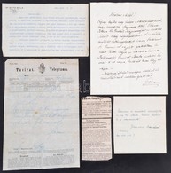 Cca 1870-1933 Entz Családi Irathagyaték: 
Id. Entz Géza (1842-1919) Biológus, Zoológus, Egyetemi Tanár Saját Kézzel írt  - Unclassified