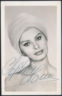 Sophia Loren (1934-) Színésznő Aláírása Egy őt ábrázoló Fotón / Autograph Signature - Autres & Non Classés
