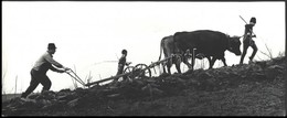 1980 Erőss Péter Erdélyi Fotóművész Pecséttel Jelzett, Vintage Fotóművészeti Alkotása (Szántás), 16x39 Cm - Sonstige & Ohne Zuordnung