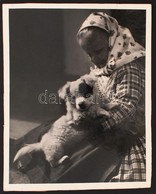 1936 Ghyczy-Udránszky László: A Kedvenc, Feliratozott Vintage Fotóművészeti Alkotás, 30x24 Cm - Andere & Zonder Classificatie