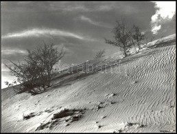 Cca 1981 Vincze János (1922-1998) Kecskeméti Fotóművész Hagyatékából, A Szerző által Feliratozott, Vintage Fotóművészeti - Autres & Non Classés