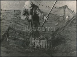 Halász Halászhálóval, Jelzetlen Fotó, 17,5×23,5 Cm - Autres & Non Classés
