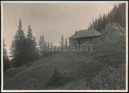 Cca 1910 Bucsecs, Menedékház A Malajesti-völgyben, Erdélyi Mór Felvétele, Hátulján Feliratozva, 11,5×16 Cm /
Cca 1910 Mu - Autres & Non Classés